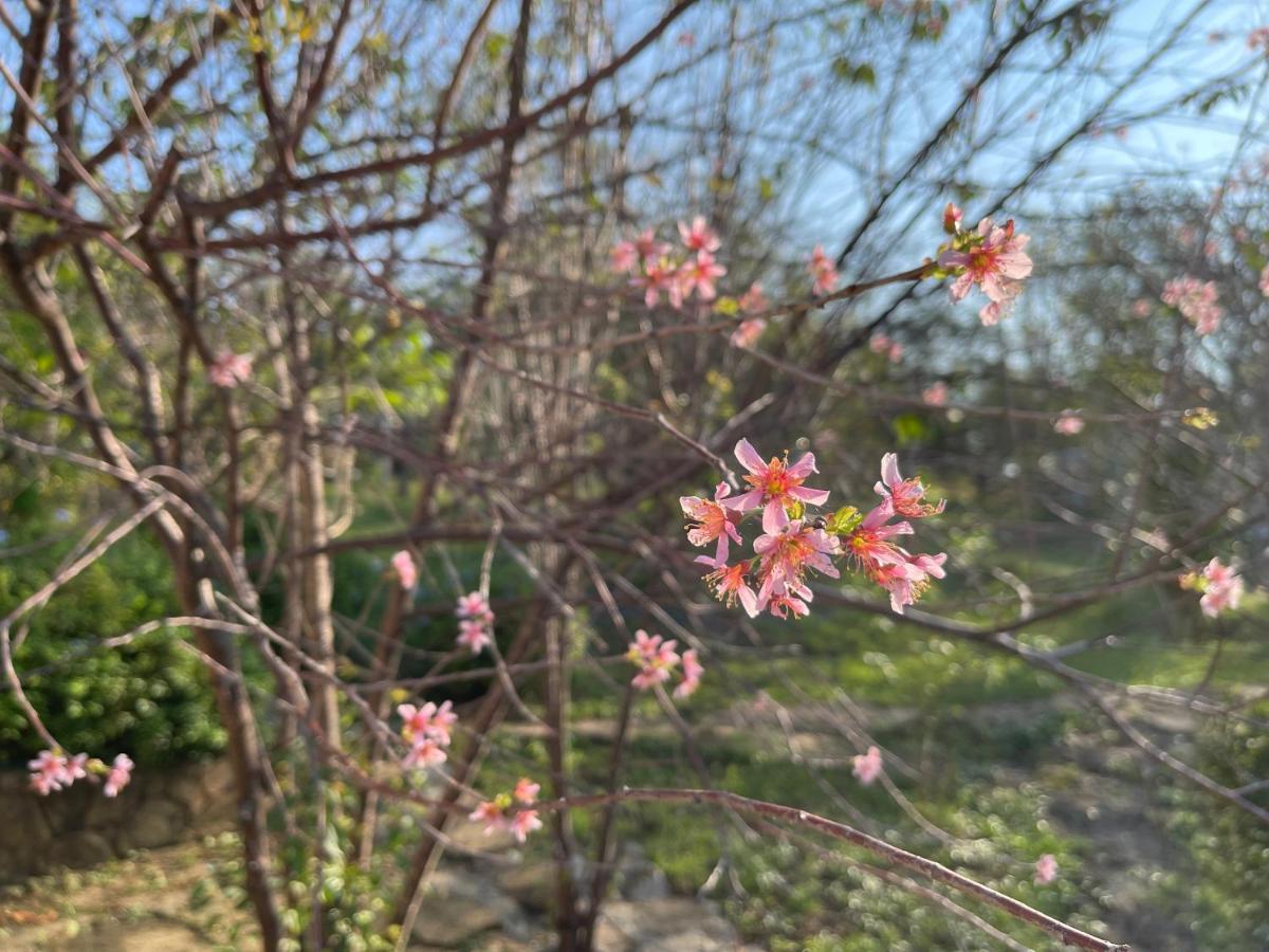 Cozycomo Nam Nao Ban Phu Hi Buitenkant foto